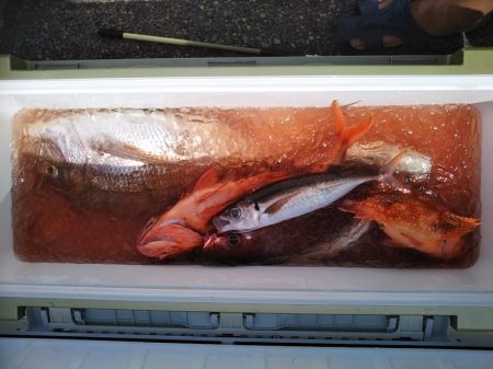 康仁丸・ジギング釣り果